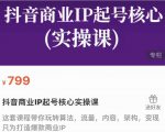 抖音商业IP起号核心实操课，带你玩转算法，流量，内容，架构，变现-吗喽副业资源站