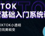Tiktok实操进阶课程，体验从tiktok小透明到大佬的完美蜕变-吗喽副业资源站