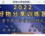 萌飞好物·2022抖音好物分享训练营，当下风口带货变现模式，从入门到精通-吗喽副业资源站