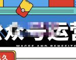 零零已久·从0-1运营公众号，零基础小白也能上手，系统性了解公众号运营-吗喽副业资源站