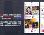 麦子互娱短视频带货·0基础做好物分享账号，无需出镜无需货源无需拍摄-吗喽副业资源站