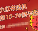 视频号小红书抖音挂机项目，小白无脑操作，按照要求来，单号每天几十米-吗喽副业资源站