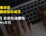 虚拟图集项目：矩阵站群自动化成交，3-5个月实现快速赚钱月入1W+左右-吗喽副业资源站