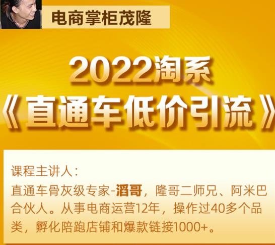 茂隆2022直通车低价引流玩法，教大家如何低投入高回报的直通车玩法-吗喽副业资源站
