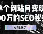 单个网站月变现100万的SEO秘密，百分百做出赚钱站点-吗喽副业资源站