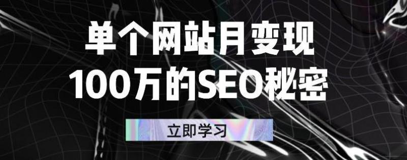 单个网站月变现100万的SEO秘密，百分百做出赚钱站点-吗喽副业资源站