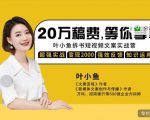叶小鱼21天短视频文案拆书营，学完轻松搞定各类书单短视频文案-吗喽副业资源站