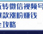 玩转微信视频号爆款涨粉赚钱全攻略，让你快速抓住流量风口，收获红利财富-吗喽副业资源站