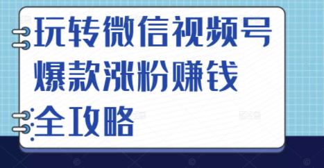 玩转微信视频号爆款涨粉赚钱全攻略，让你快速抓住流量风口，收获红利财富-吗喽副业资源站