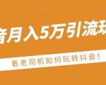 老古董·抖音月入5万引流玩法，看看老司机如何玩转抖音(附赠：抖音另类引流思路)-吗喽副业资源站