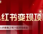 渣圈学苑·小红书虚拟资源变现项目，一起捞钱掘金价值1099元-吗喽副业资源站