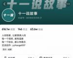 十一说故事·故事性中视频，观众快速共鸣从而快速变现的中视频玩法-吗喽副业资源站