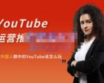 外国人眼中的YouTube该怎么玩？Elisa·YouTube运营推广实战技巧-吗喽副业资源站