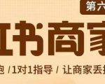 贾真-小红书商家营第6期商家版，21天带货陪跑课，让商家丢掉付流量-吗喽副业资源站