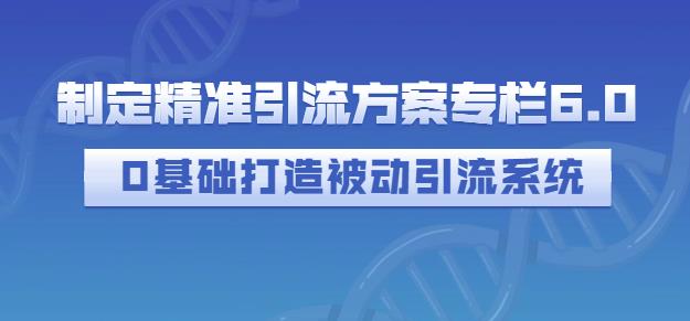 制定精准引流方案专栏6.0，0基础打造被动引流系统-吗喽副业资源站