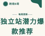 【跨境B哥】独立站潜力爆款选品推荐，测款出单率高达百分之80-吗喽副业资源站