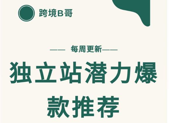 【跨境B哥】独立站潜力爆款选品推荐，测款出单率高达百分之80-吗喽副业资源站