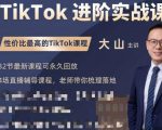 大山老师TikTok进阶实战课：账号详解，流量运营，实战变现，助力你成功出海-吗喽副业资源站