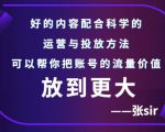 张sir账号流量增长课，告别海王流量，让你的流量更精准-吗喽副业资源站