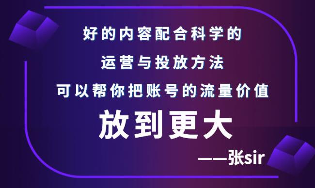 张sir账号流量增长课，告别海王流量，让你的流量更精准-吗喽副业资源站