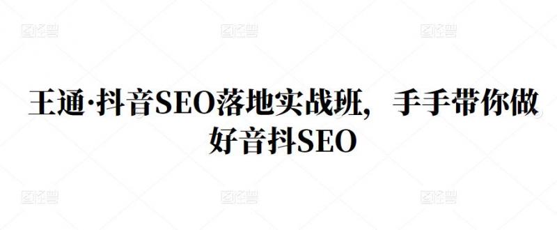 王通·抖音SEO落地实战班，手‬手带你做好音抖‬‬SEO-吗喽副业资源站