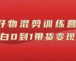 万三好物混剪训练营：小白0到1带货变现课-吗喽副业资源站