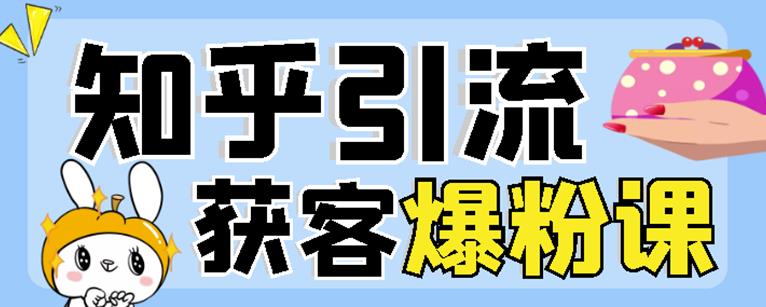 2022船长知乎引流+无脑爆粉技术：每一篇都是爆款，不吹牛，引流效果杠杠的-吗喽副业资源站
