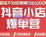 推易电商·2022年抖音小店爆单营，不直播、不拍短视频、日出1000单，暴力玩法-吗喽副业资源站