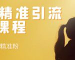soul精准引流系列课程，每天引流100精准粉-吗喽副业资源站