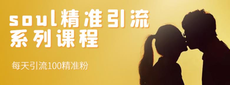 soul精准引流系列课程，每天引流100精准粉-吗喽副业资源站