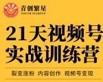 张萌21天视频号实战训练营，裂变涨粉、内容创作、视频号变现 价值298元-吗喽副业资源站