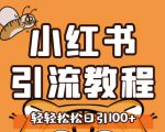 小红书运营引流全系列课程，每天引流100精准粉-吗喽副业资源站