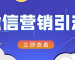 微信营销策划引流系列课程，每天引流100精准粉-吗喽副业资源站