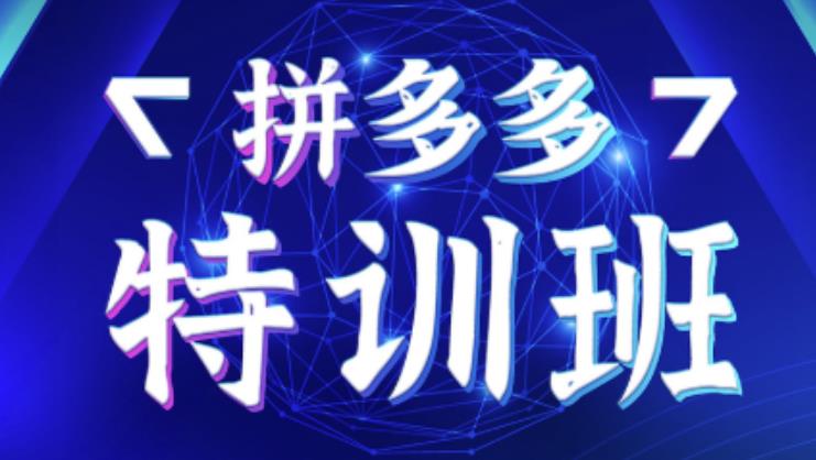 星雪教育·拼多多基础班+进阶班+突破班，用系统的学习模式快速改变现状价值3580元-吗喽副业资源站
