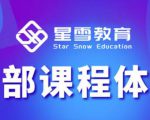 星雪教育淘系高级班，更全的运营提升方案，零基础由浅入深，店铺最新玩法-吗喽副业资源站
