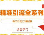 闲鱼精准引流全系列课程，每天引流100精准粉【视频课程】-吗喽副业资源站