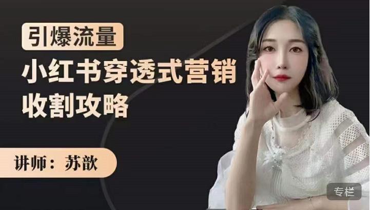 苏歆：小红书穿透式营销收割攻略，引爆流量，助你玩转小红书-吗喽副业资源站