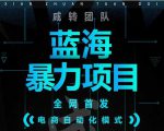 引流哥蓝海暴力躺赚项目：无需发圈无需引流无需售后，每单赚50-500（教程+线报群)-吗喽副业资源站