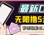 【高端精品】最新无撸5元E卡项目，无限接码秒到，一单利润3.5，轻松日入破千-吗喽副业资源站