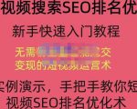 宋老师·短视频搜索SEO优化，教你10分钟创作一个短视频，三天排名上第一-吗喽副业资源站