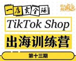 TikTokShop出海训练营（第十三期），打开全球流量新思维，出海抢占全球新流量，一店卖全球-吗喽副业资源站