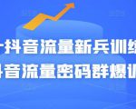 Peter抖音流量新兵训练营-破解抖音流量密码群爆训练营（新兵）-吗喽副业资源站