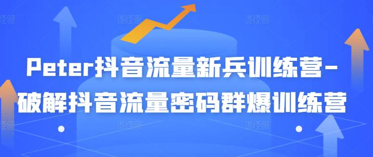 Peter抖音流量新兵训练营-破解抖音流量密码群爆训练营（新兵）-吗喽副业资源站