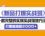 凌童《新品打爆实战班》,一套完整的实操实战落地方法，打爆链接超2000+（28节课)-吗喽副业资源站