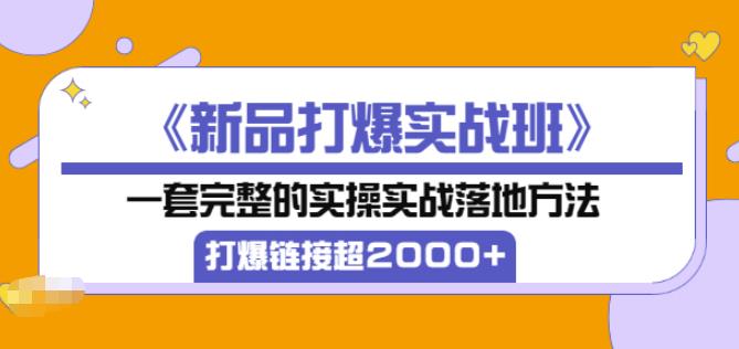 凌童《新品打爆实战班》,一套完整的实操实战落地方法，打爆链接超2000+（28节课)-吗喽副业资源站