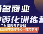 杨名商业IP孵化训练营，从商业到内容到转化一站式学 价值5980元-吗喽副业资源站
