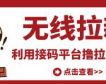最新接码无限拉新项目，利用接码平台赚拉新平台差价，轻松日赚500+-吗喽副业资源站