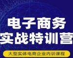 民赛电气内部出品：电子商务实战特训营，全方位带你入门电商，308种方式玩转电商-吗喽副业资源站