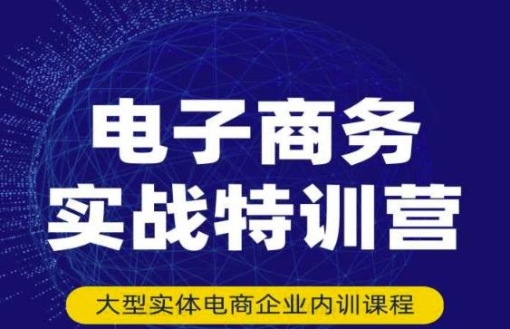 民赛电气内部出品：电子商务实战特训营，全方位带你入门电商，308种方式玩转电商-吗喽副业资源站