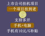 正规挂机项目，支持手机电脑一起挂，支持虚拟机多开，可以挂到老-吗喽副业资源站